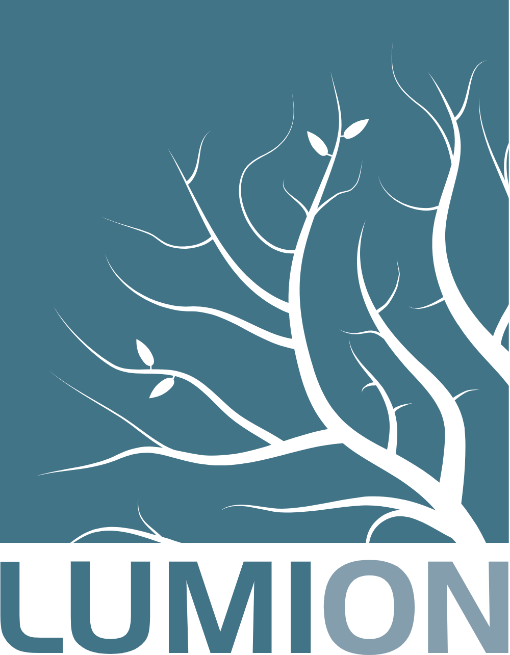 Lumion